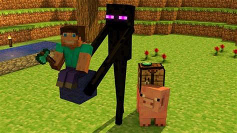 Steve Enderman Pig Wiki Minecraft Amino