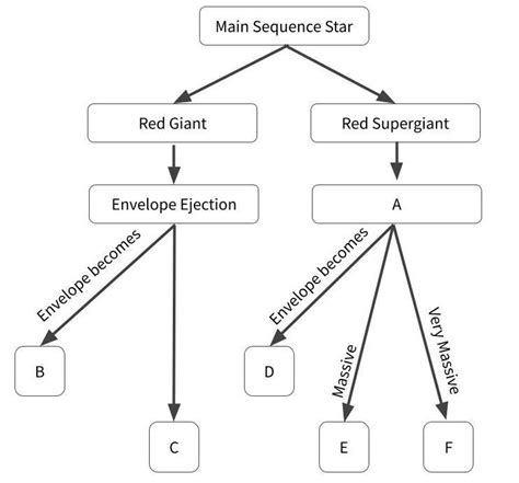 Solved Stellar Evolution Flowchart Choose the correct | Chegg.com