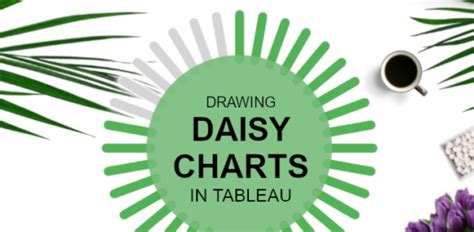 Daisy Chart Archives Toan Hoang