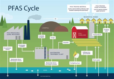 Pfas These Forever Chemicals Are Highly To Eurekalert