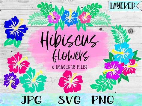 Hibiscus Svg Hibiscus Frame Svg Hawaiian Shirt Svg Floral Etsy