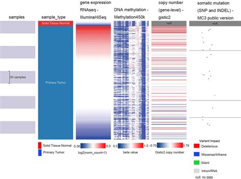 Frontiers Analysis Of The Prognostic Value And Gene Expression