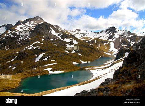 Nelson Lakes National Park South Island New Zealand Stock Photo Alamy