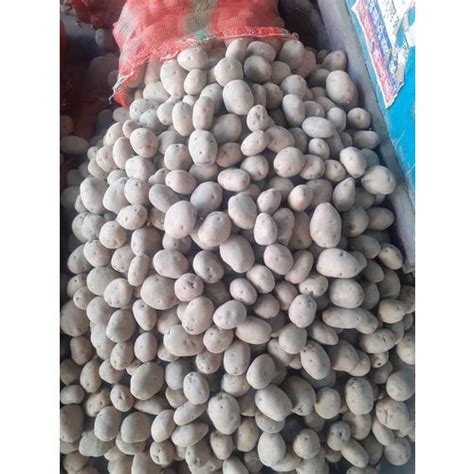 Brown A Grade 3797 Up Sugar Free Potato Packaging Size 50 Kg At Rs 8kg In New Delhi