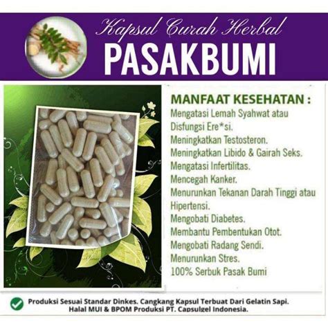 Jual Kapsul Pasak Bumi Isi Untuk Stamina Tubuh Di Seller Cagaustore