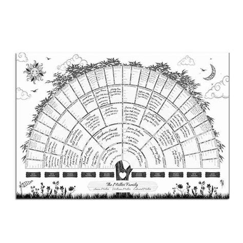 Buy Longlasting Blank Family Tree Chart Family Genealogy Fillable ...