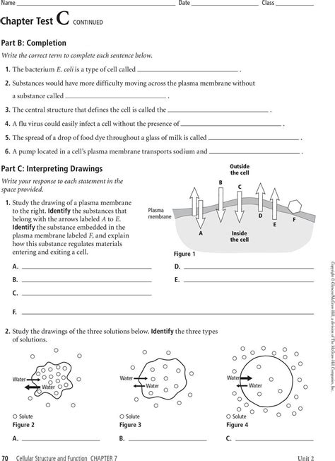 Transport Across The Cell Membrane Worksheet Answer Key