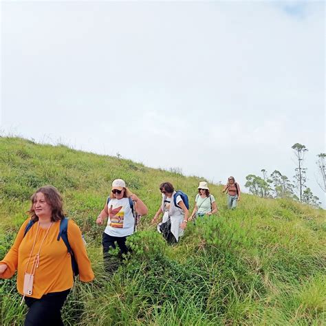 Green Munnar Trekking All You Need To Know Before You Go With Photos