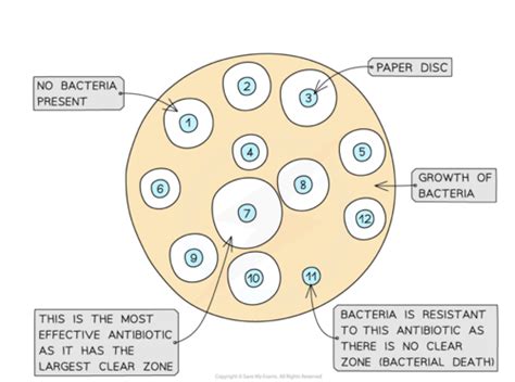 Culturing Microorganisms Flashcards Quizlet