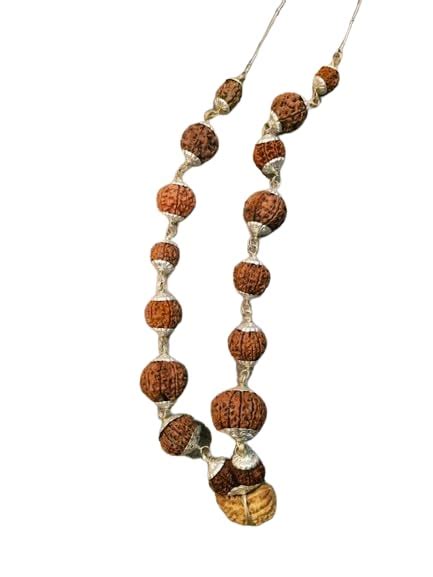 Gemstone King Sarva Siddha Mala Nepal 1 14 Mukhi Rudraksha Mala