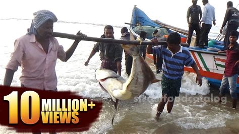 Amazing Big Fish Hunting In Sea Fishermen In A Sea Boat Catching