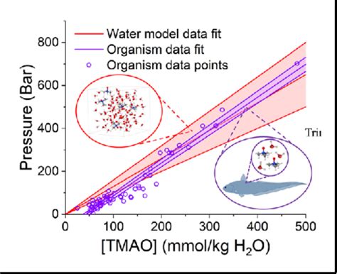 Figure 14 From Trimethylamine N Oxide TMAO A Unique Counteracting