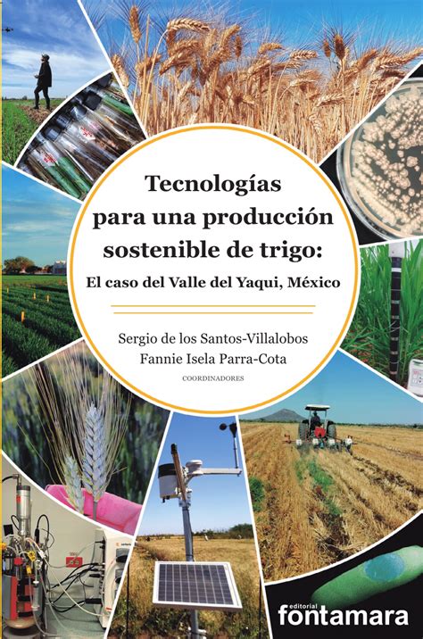 Pdf Tecnolog As Para Una Producci N Sostenible De Trigo El Caso Del