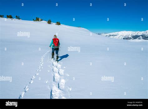 Female Figure Snowshoeing Plateau De Beille French Pyrenees Stock