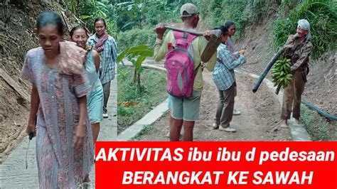 Susana Kampung Kesibukan Ibu Ibu Berangkat Ke Ladang Youtube