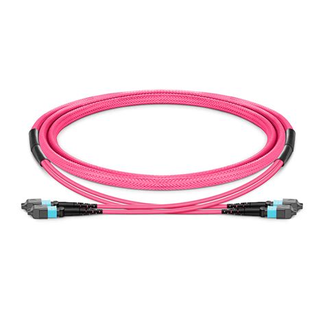 10m 33ft Mtp® 12 Female To Mtp® 12 Female Om4 Multimode Elite Trunk Cable 24 Fibers 2x