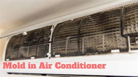 8 Guides to Clean and Prevent Mold in Air Conditioner - Mold Guide 101