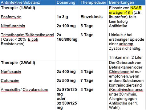 Therapie Schemata Akuter Und Rezidivierender Harnwegsinfekt