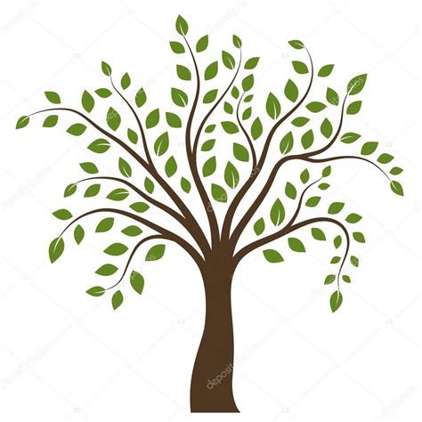 Arbol Con Hojas Verdes Ilustracion Vectorial Aislada En El Fondo Blanco