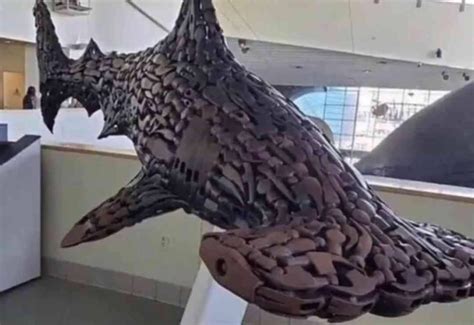 A Hammerhead shark made out of hammers : r/Bossfight