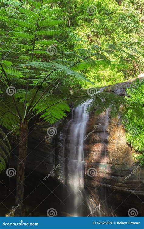 Serenity Falls Stock Photo Image Of Buderim Landscape 67626894