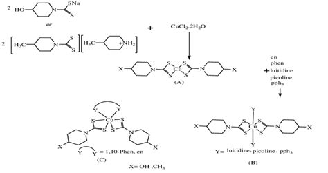 Scheme 1 Synthesis Of Ligands Cuii Dithiocarbamate Complexes And