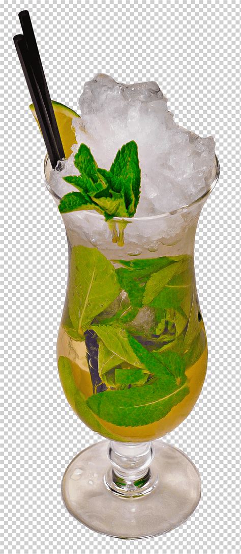 Mojito Guarnici N De C Ctel Julepe De Menta Bebida Bebida