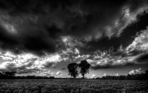 Sunlight White Black Monochrome Nature Sky Photography Storm