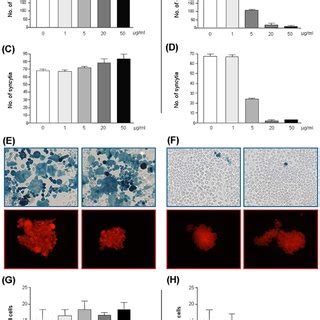 Effect Of Human Serum Albumin HSA And HOCl Altered HSA Idea HSA On