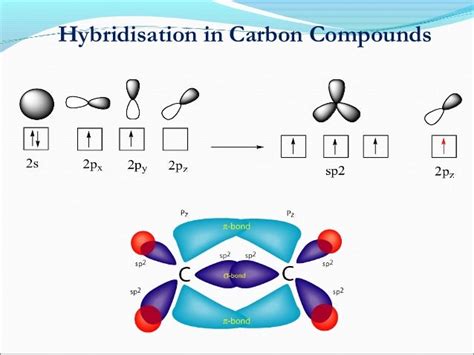 bonding in carbon compounds