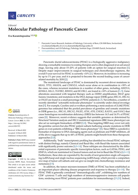 Pdf Molecular Pathology Of Pancreatic Cancer