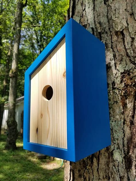 Birdhouse Modern Wooden Birdhouse Minimalist Blue Pacific Pleasure With White Cedar Face Unique