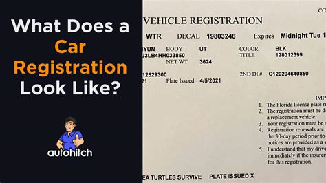 What Does A Car Registration Look Like