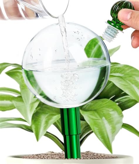 Amazon Kimkusia Extra Large Plant Watering Globes Oz Glass Self