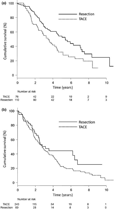 A Cumulative Survival Curve For Patients With Intermediatestage