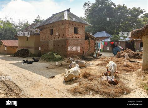 Rural Indian Village House Hi Res Stock Photography And Images Alamy