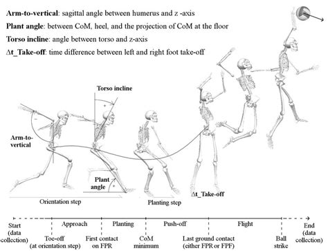 Time window of analyses, phases, and variables of the volleyball spike... | Download Scientific ...