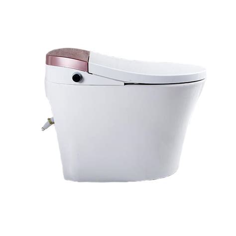Floor Stand Porcelain Toilet Automatic Clean Smart Toilet - China Floor ...