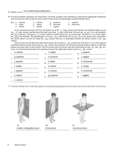 Language Of Anatomy Worksheets Printable Worksheets