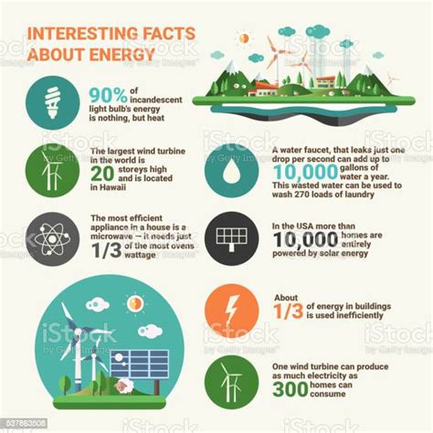 Vetores De Ecologia Fatos De Infográficos Educacionais Cartaz E Mais