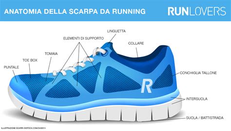 La Guida Definitiva Per Comprare Le Scarpe Da Running