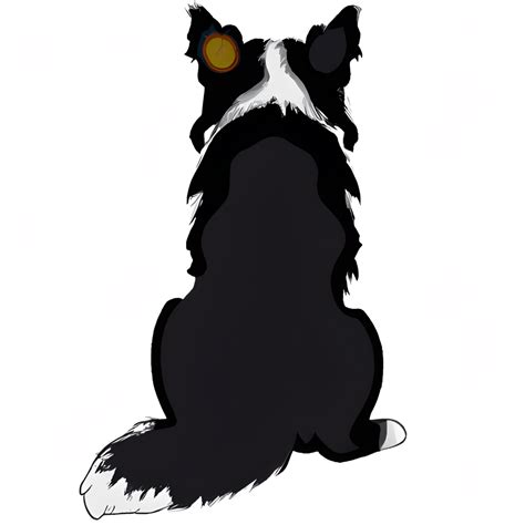 Black Border Collie Sitting Rear View · Creative Fabrica