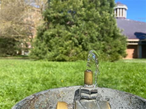 El Agua Vuelve A Las Fuentes De Vitoria Gasteiz