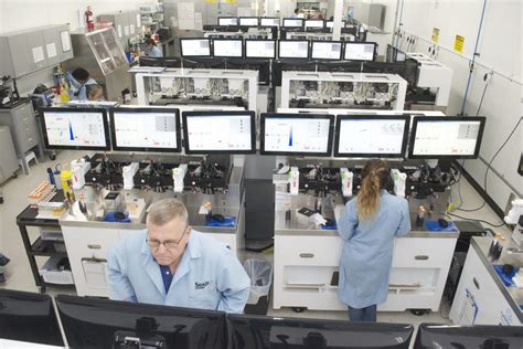 Producing Sex Sorted Sperm With 99 Accuracy Pig Progress