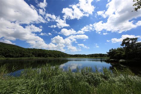 無料画像 風景 木 自然 沼地 荒野 山 雲 空 草原 湖 川 反射 高い 貯水池 水域 湿地 5d