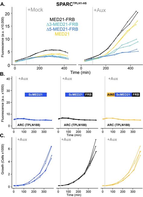 Figures And Data In Repression By The Arabidopsis Topless Corepressor