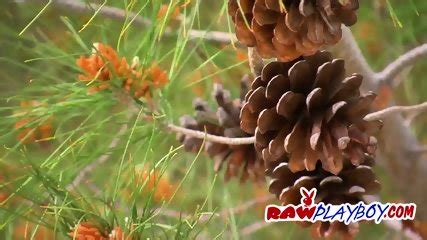 Nasty Dude Enjoys Pounding Blonde Babe