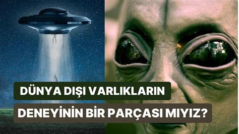 Dünya Dışı Varlıklar Bizi Hayvanat Bahçesindeki Hayvanlar Gibi mi