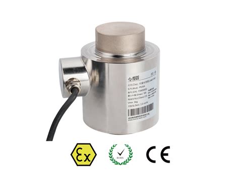 Canister Compression Load Cells Microtess