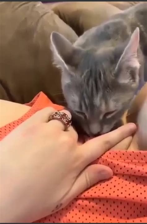 Widowed Mom Porn Pic